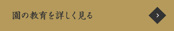 園の教育を詳しく見る