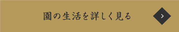 園の生活を詳しく見る