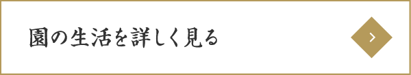 園の生活を詳しく見る